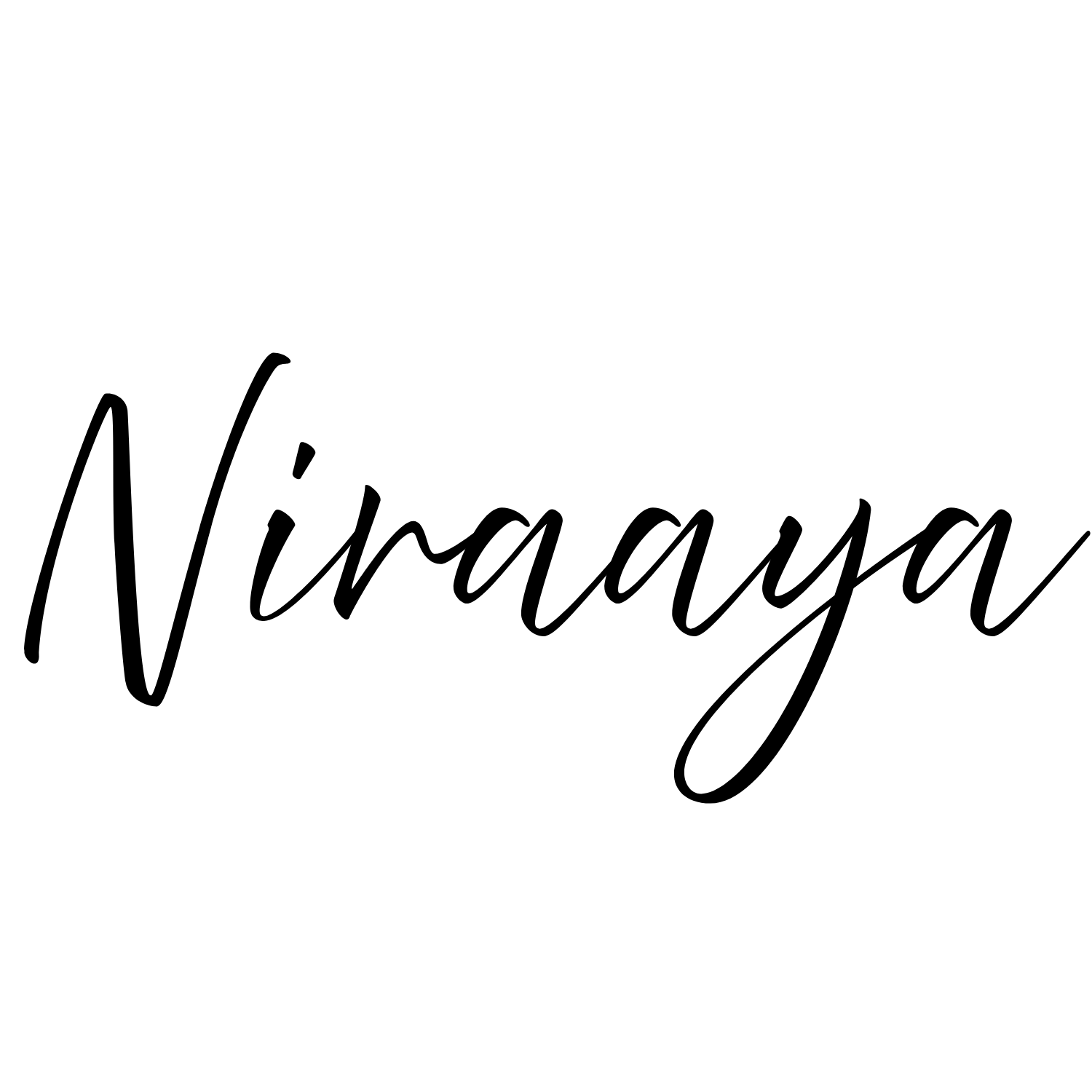Niraaya Global Ventures